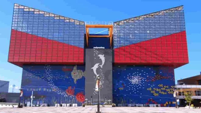 最新版 海遊館にお得に入りたい 割引 クーポン情報まとめ 得するノウハウ